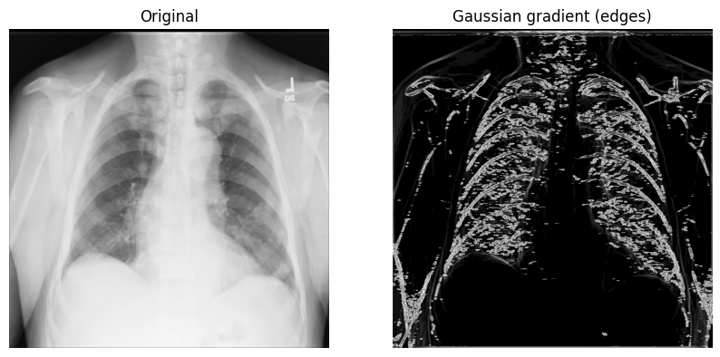 <Figure size 1000x1000 with 2 Axes>